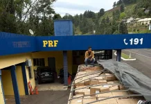 PRF apreende carga de hormônios sintéticos e cosméticos estrangeiros na BR-153
